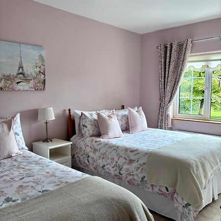 The Lodge Self Catering Castlerea Extérieur photo
